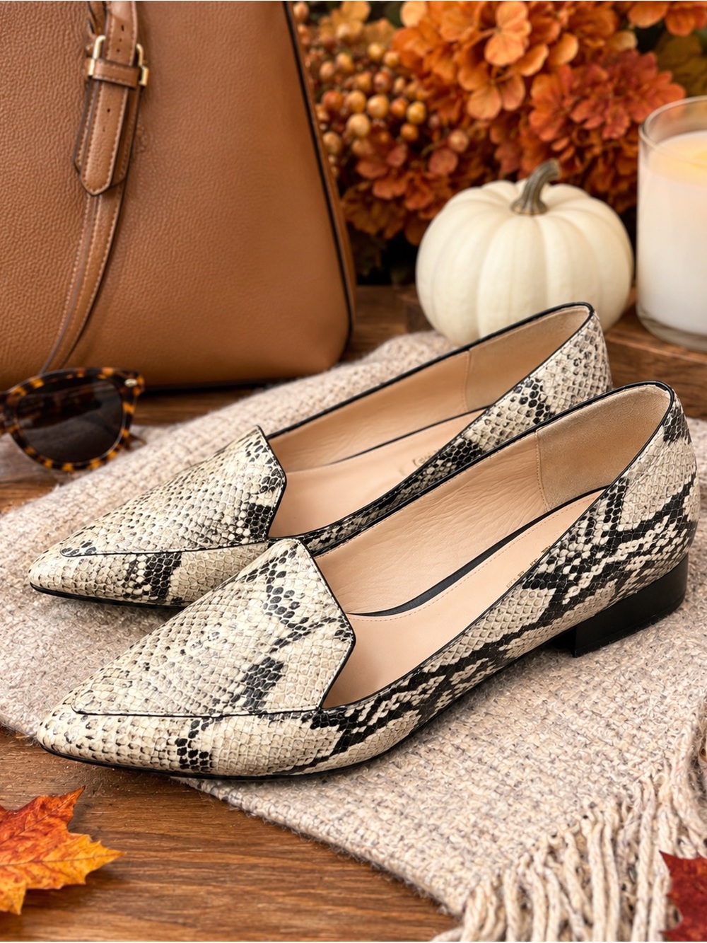 Cole Haan Women's Snakeskin-Patterned Pointed Toe Flats - Black and Cream